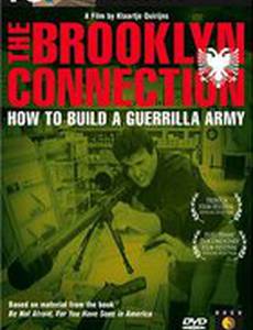 The Brooklyn Connection