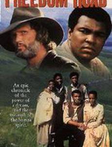 Дорога свободы