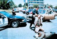 Кадр Спина к спине