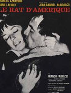 Американская крыса