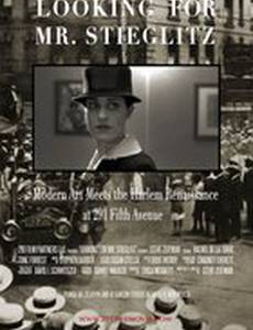 Looking For Mr Stieglitz