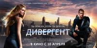 Постер Дивергент