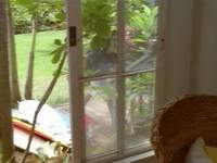 Кадр Джонни Цунами