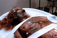 Кадр Жизненная сила