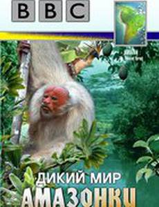 BBC: Дикий мир Амазонки