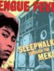 Гуляя во сне через Меконг