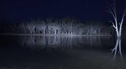 Кадр из фильма "Озеро Мунго" - 1