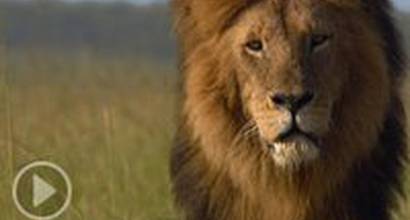 Фрагмент №1