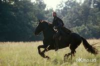 Кадр Эрагон