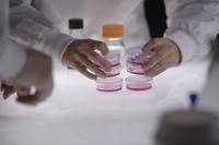 Кадр Спираль