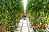 Кадр Под одной луной