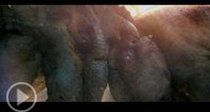 Ролик о фильме №16