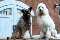 Кадр Уж кто бы говорил 3