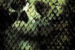 Анаконда 2: Охота за проклятой орхидеей