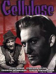 Целлюлоза