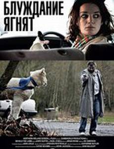 Блуждание ягнят