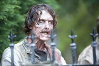 Кадр Ходячие мертвецы