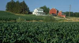 Кадр из фильма "Поле чудес" - 2