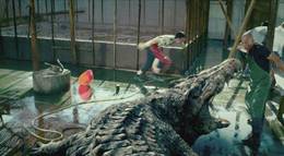 Кадр из фильма "Крокодил на миллион долларов" - 1