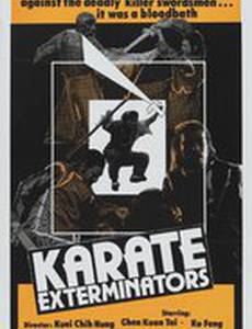 Молния кунг-фу