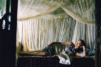 Кадр Дочери ботаника