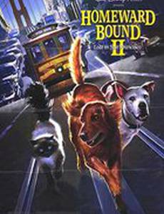 Дорога домой 2: Затерянные в Сан-Франциско