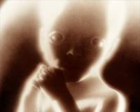 Кадр 2001 год: Космическая одиссея