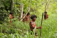 Кадр Зеленый ад