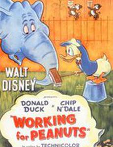 Работа за орехи