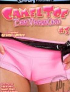 Cameltoe Perversions 3 (видео)