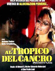 Тропик Рака