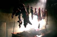 Кадр У холмов есть глаза