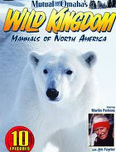 Царство животных