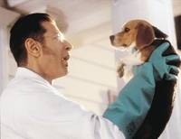 Кадр Кошки против собак