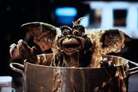 Кадр Гремлины 2: Новенькая партия