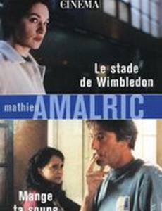 Стадион Уимблдон