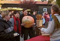 Кадр Любовное письмо