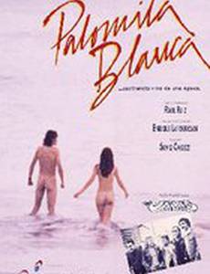 Белая голубка