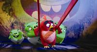 Кадр Angry Birds в кино