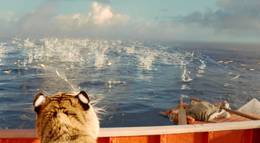 Кадр из фильма "Жизнь Пи" - 1