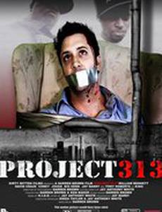 Проект 313