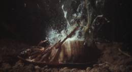 Кадр из фильма "Жук" - 2