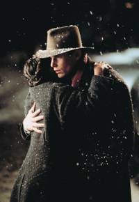 Кадр Заснеженные кедры