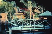 Кадр Соседи