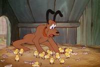 Кадр Мамаша Плуто