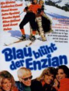 Blau blüht der Enzian