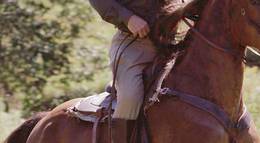 Кадр из фильма "Рейганы" - 2