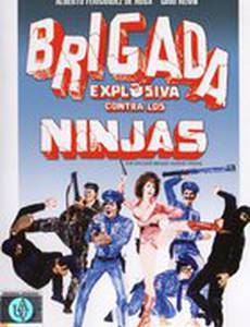 Взрывная бригада против ниндзя