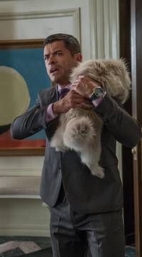 Кадр Девять жизней