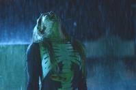 Кадр Писака